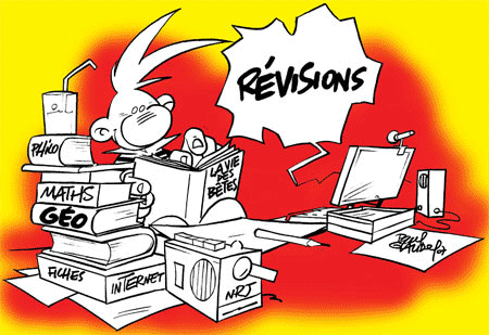 revisisons.gif